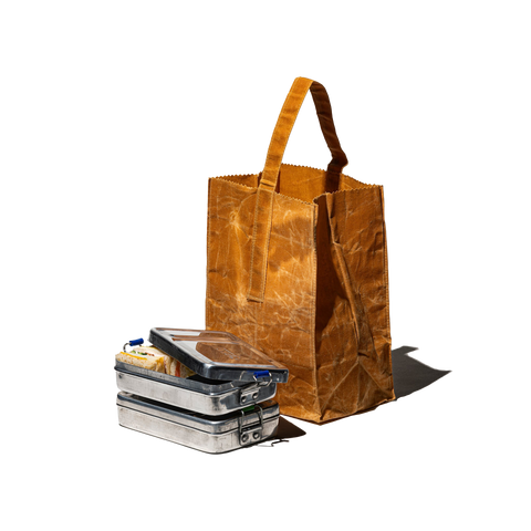 Grocery Bag With Handle